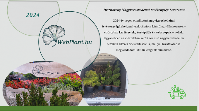 https://www.webplant.hu/files/menus/297/tn_20261001094905_letoltes_4.png