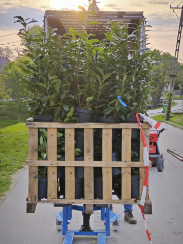 https://www.webplant.hu/files/menus/305/tn_20241009065610_img_20240411_070524.jpg