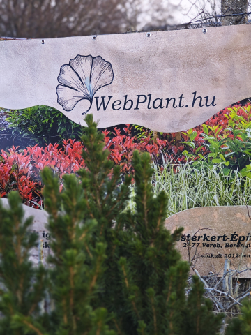 https://www.webplant.hu/files/menus/305/tn_20250307121633_img_20250224_164242.jpg